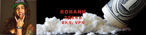 бошки Белокуриха