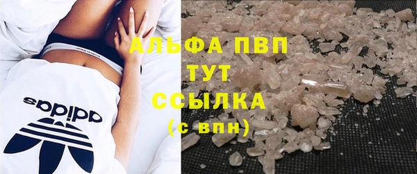 бошки Белокуриха