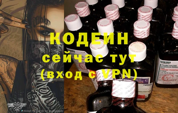 бошки Белокуриха