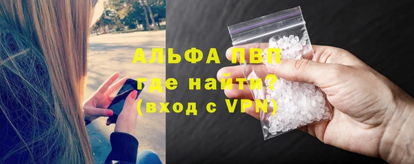бошки Белокуриха
